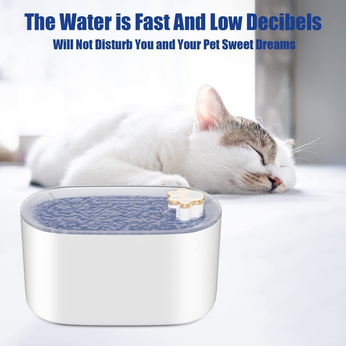Ultra - Quiet LED Pet Drinking Fountain - Sixin1